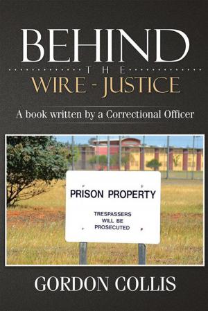 Cover of the book Behind the Wire - Justice by Bernard Desmidt