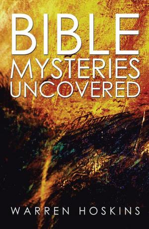 bigCover of the book Bible Mysteries Uncovered by 