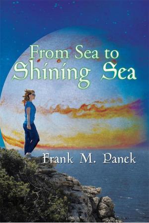Cover of the book From Sea to Shining Sea by Infinite Mind Seven Allah