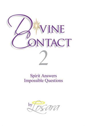 Book cover of Divine Contact 2