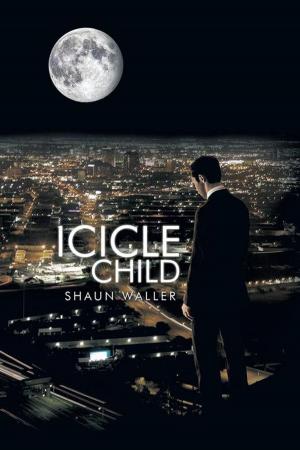 Cover of the book Icicle Child by Youth the Writer