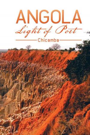 Cover of the book Angola Light of Poet by Anton Wills-Eve