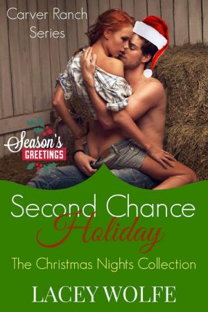 Book cover of Second Chance Holiday