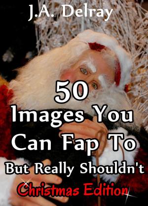 Cover of the book 50 Christmas Things You Can Fap To But Really Shouldn't by Miss Jaxx