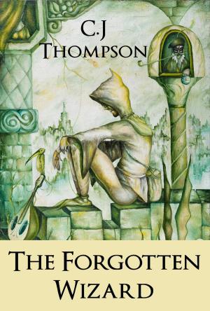 Book cover of The Forgotten Wizard