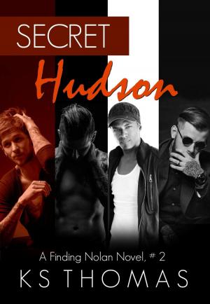 Book cover of Secret Hudson