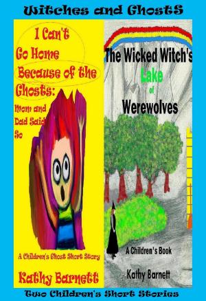Book cover of Witches and Ghosts: 2 Children's Short Stories [Preteen Ages 9-12]