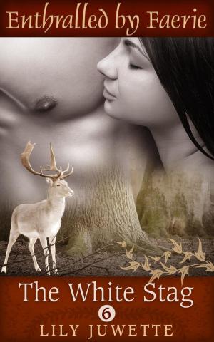 Book cover of The White Stag, Part 6