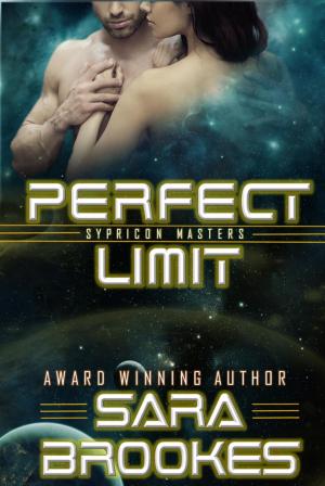 Cover of the book Perfect Limit by Caitlin Crews