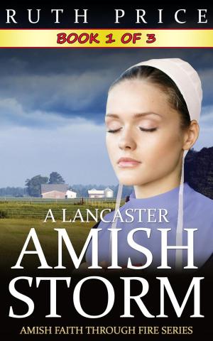 Cover of the book A Lancaster Amish Storm - Book 1 by Kiera Zane