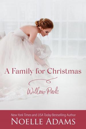 Cover of the book A Family for Christmas by Jenni Moen