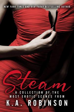 Cover of the book Steam by Cate Troyer