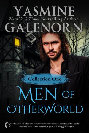 Cover of the book Men of Otherworld: Collection One by Silver Bowen