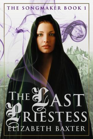 Book cover of The Last Priestess