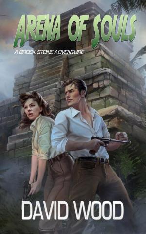 bigCover of the book Arena of Souls- A Brock Stone Adventure by 