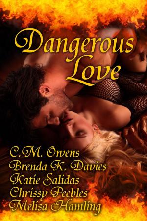Cover of the book Dangerous Love by Kristen Middleton, Chrissy Peebles