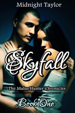 Cover of the book Skyfall by Santi Scimeca