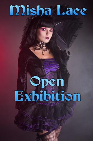 Cover of Open Exhibition
