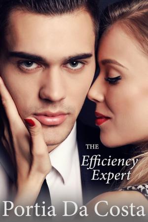 Cover of the book The Efficiency Expert by Anna Jeffrey