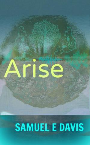 Cover of the book Arise by Juliann Whicker