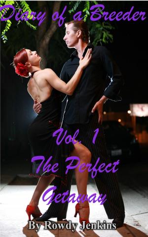 Cover of the book The Perfect Getaway by Blair Buford