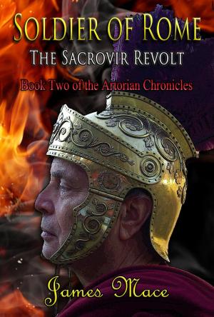 Book cover of Soldier of Rome: The Sacrovir Revolt