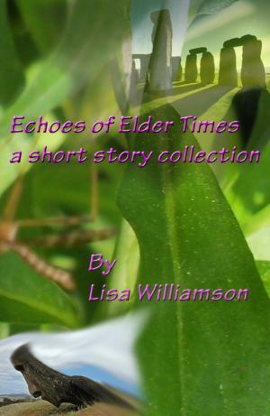 Book cover of Echoes of Elder Times Collection