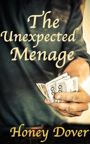 bigCover of the book The Unexpected Menage by 