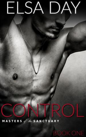 Cover of the book Control by Loïs-Ly