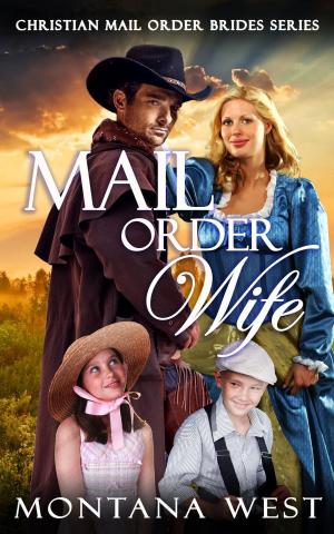 Cover of the book Mail Order Wife by Rachel Stoltzfus