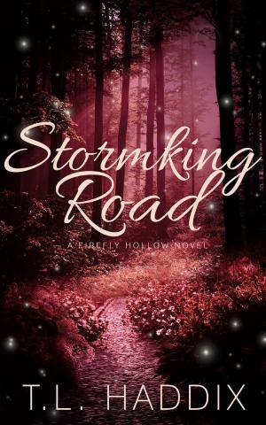 Cover of the book Stormking Road by T. L. Haddix