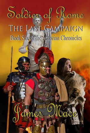 Book cover of Soldier of Rome: The Last Campaign
