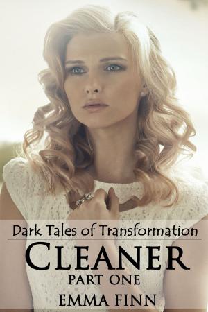 bigCover of the book Cleaner: Part One by 