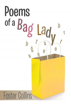 Cover of the book Poems of a Bag Lady by Soyinka Iyabo Ogunbusola