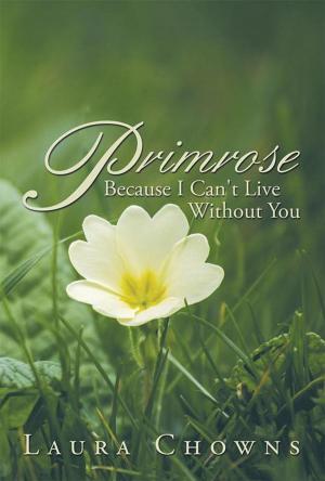 Cover of the book Primrose by Dr. Robert L. Akikta PhD