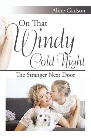 Cover of the book On That Windy Cold Night by Leila L. Reinersman