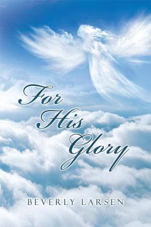 Cover of the book For His Glory by E. Lee Ritter