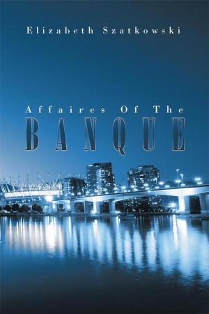 Book cover of Affaires of the Banque