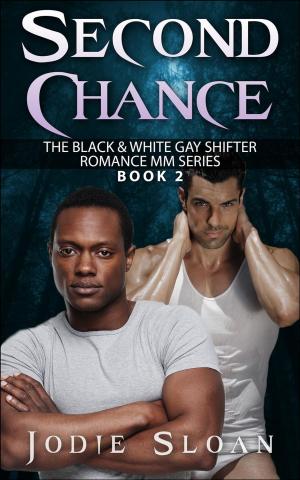 Cover of the book Second Chance by Jason Potash