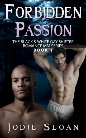 Cover of the book Forbidden Passion by Cari Silverwood