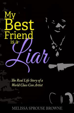 Book cover of My Best Friend is a Liar