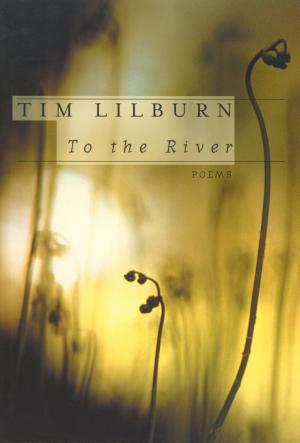 bigCover of the book To the River by 