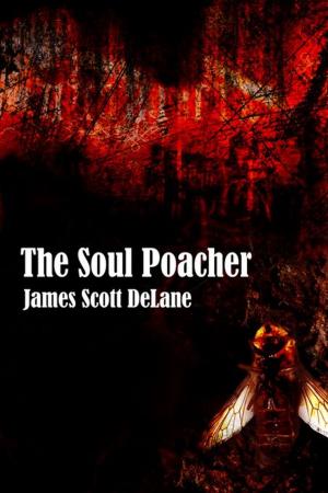 Cover of the book The Soul Poacher by Daniel Steeves Connaughton