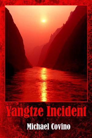 Cover of the book Yangtze Incident by Lisa Portolan