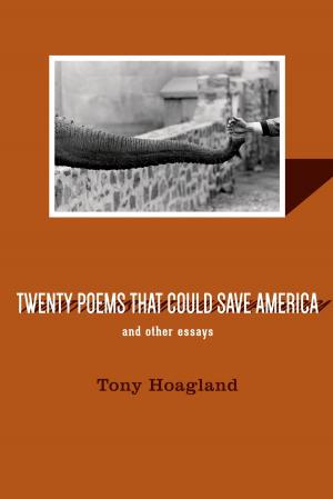 Cover of the book Twenty Poems That Could Save America and Other Essays by Anna Burns