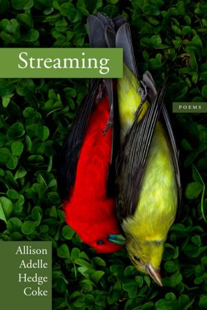Cover of the book Streaming by Laird Hunt