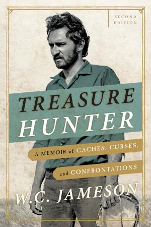 Book cover of Treasure Hunter