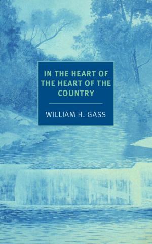 Cover of the book In the Heart of the Heart of the Country by S.A. Hussey
