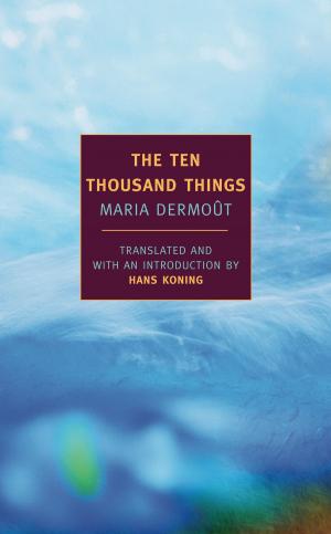 Cover of the book The Ten Thousand Things by Michael Heller