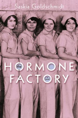 Cover of the book The Hormone Factory by Eshkol Nevo
